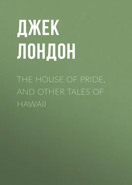 Джек Лондон The House of Pride, and Other Tales of Hawaii обложка книги