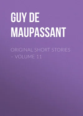 Guy Maupassant Original Short Stories – Volume 11 обложка книги