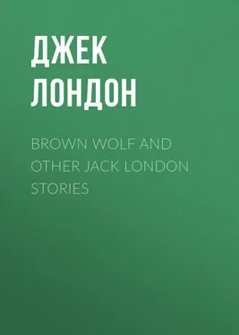 Джек Лондон Brown Wolf and Other Jack London Stories обложка книги
