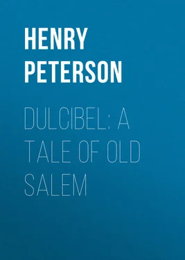 Henry Peterson Dulcibel: A Tale of Old Salem обложка книги