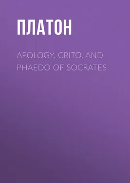 Платон Apology, Crito, and Phaedo of Socrates обложка книги