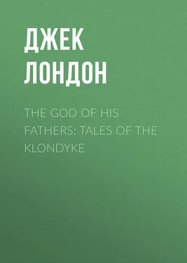 Джек Лондон The God of His Fathers: Tales of the Klondyke обложка книги