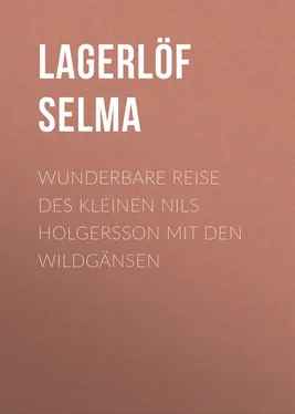 Selma Lagerlöf Wunderbare Reise des kleinen Nils Holgersson mit den Wildgänsen обложка книги