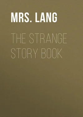 Lang The Strange Story Book обложка книги