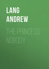 Andrew Lang - The Princess Nobody