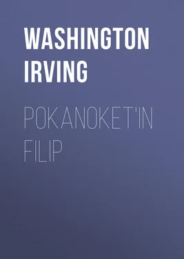 Washington Irving Pokanoket'in Filip обложка книги