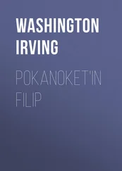 Washington Irving - Pokanoket'in Filip
