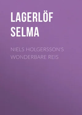 Selma Lagerlöf Niels Holgersson's Wonderbare Reis обложка книги