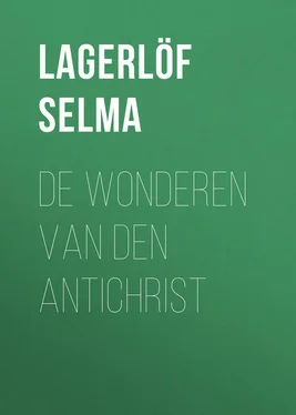 Selma Lagerlöf De Wonderen van den Antichrist обложка книги