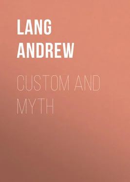 Andrew Lang Custom and Myth обложка книги