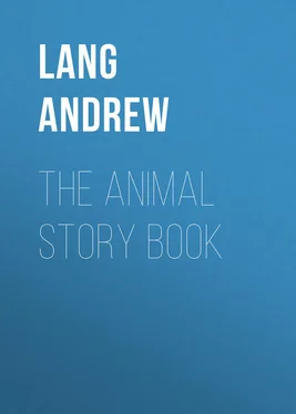 Andrew Lang The Animal Story Book обложка книги