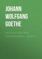 Johann von Goethe - Wilhelm Meisters Wanderjahre — Band 2