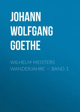 Johann von Goethe Wilhelm Meisters Wanderjahre — Band 1 обложка книги