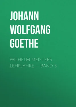 Johann von Goethe Wilhelm Meisters Lehrjahre — Band 5 обложка книги
