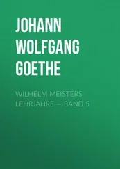 Johann von Goethe - Wilhelm Meisters Lehrjahre — Band 5