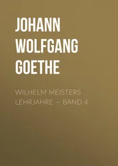 Johann von Goethe - Wilhelm Meisters Lehrjahre — Band 4