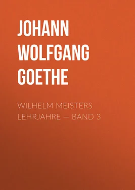 Johann von Goethe Wilhelm Meisters Lehrjahre — Band 3 обложка книги