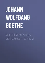 Johann von Goethe - Wilhelm Meisters Lehrjahre — Band 2