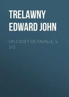 Edward Trelawny Un Cadet de Famille, v. 3/3 обложка книги