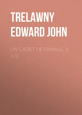 Edward Trelawny Un Cadet de Famille, v. 1/3 обложка книги
