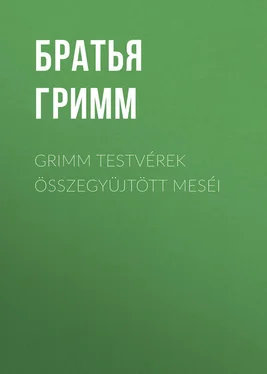 Якоб и Вильгельм Гримм Grimm testvérek összegyüjtött meséi обложка книги