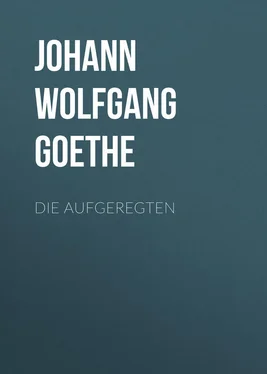 Johann von Goethe Die Aufgeregten обложка книги