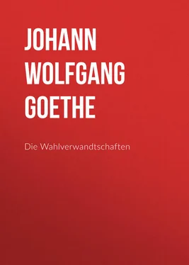 Johann von Goethe Die Wahlverwandtschaften обложка книги