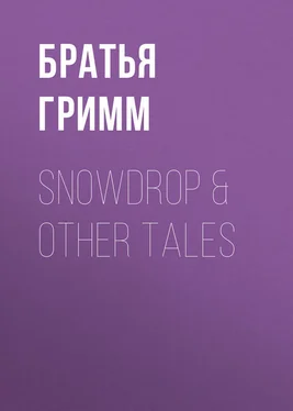 Якоб и Вильгельм Гримм Snowdrop & Other Tales обложка книги