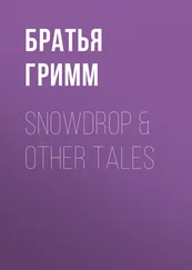 Якоб и Вильгельм Гримм - Snowdrop &amp; Other Tales