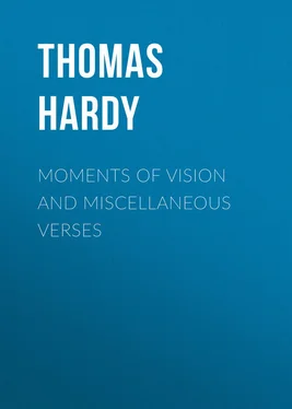 Thomas Hardy Moments of Vision and Miscellaneous Verses обложка книги