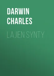 Charles Darwin - Lajien synty