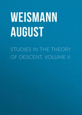 August Weismann Studies in the Theory of Descent, Volume II обложка книги