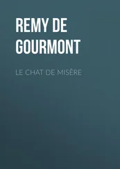 Remy Gourmont - Le chat de misère