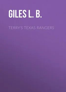 L. Giles Terry's Texas Rangers обложка книги