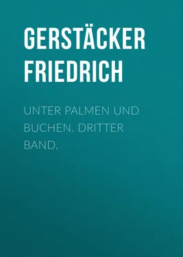 Friedrich Gerstäcker Unter Palmen und Buchen. Dritter Band. обложка книги
