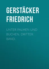 Friedrich Gerstäcker - Unter Palmen und Buchen. Dritter Band.
