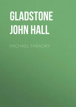 John Gladstone Michael Faraday обложка книги