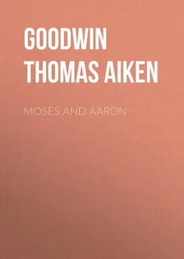 Thomas Goodwin Moses and Aaron обложка книги