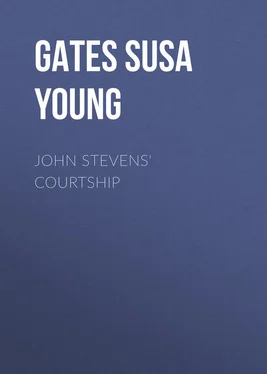 Susa Gates John Stevens' Courtship обложка книги