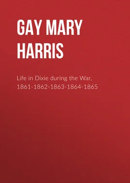Mary Gay Life in Dixie during the War, 1861-1862-1863-1864-1865 обложка книги