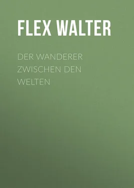 Walter Flex Der Wanderer zwischen den Welten обложка книги