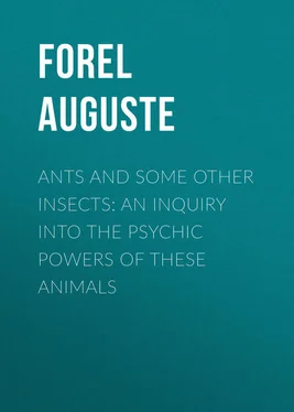 Auguste Forel Ants and Some Other Insects: An Inquiry Into the Psychic Powers of These Animals обложка книги