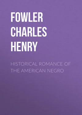 Charles Fowler Historical Romance of the American Negro обложка книги