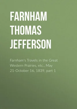 Thomas Farnham Farnham's Travels in the Great Western Prairies, etc., May 21-October 16, 1839, part 1 обложка книги