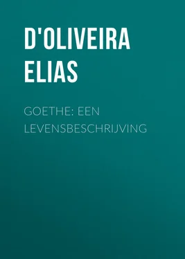 Elias D'Oliveira Goethe: Een Levensbeschrijving обложка книги