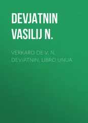 Vasilij Devjatnin - Verkaro de V. N. Devjatnin, Libro Unua
