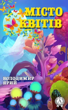 Володимир Ярий Місто квітів обложка книги