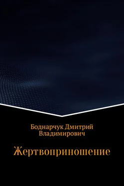 Дмитрий Боднарчук Жертвоприношение обложка книги