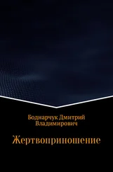 Дмитрий Боднарчук - Жертвоприношение
