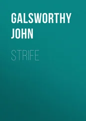 John Galsworthy - Strife